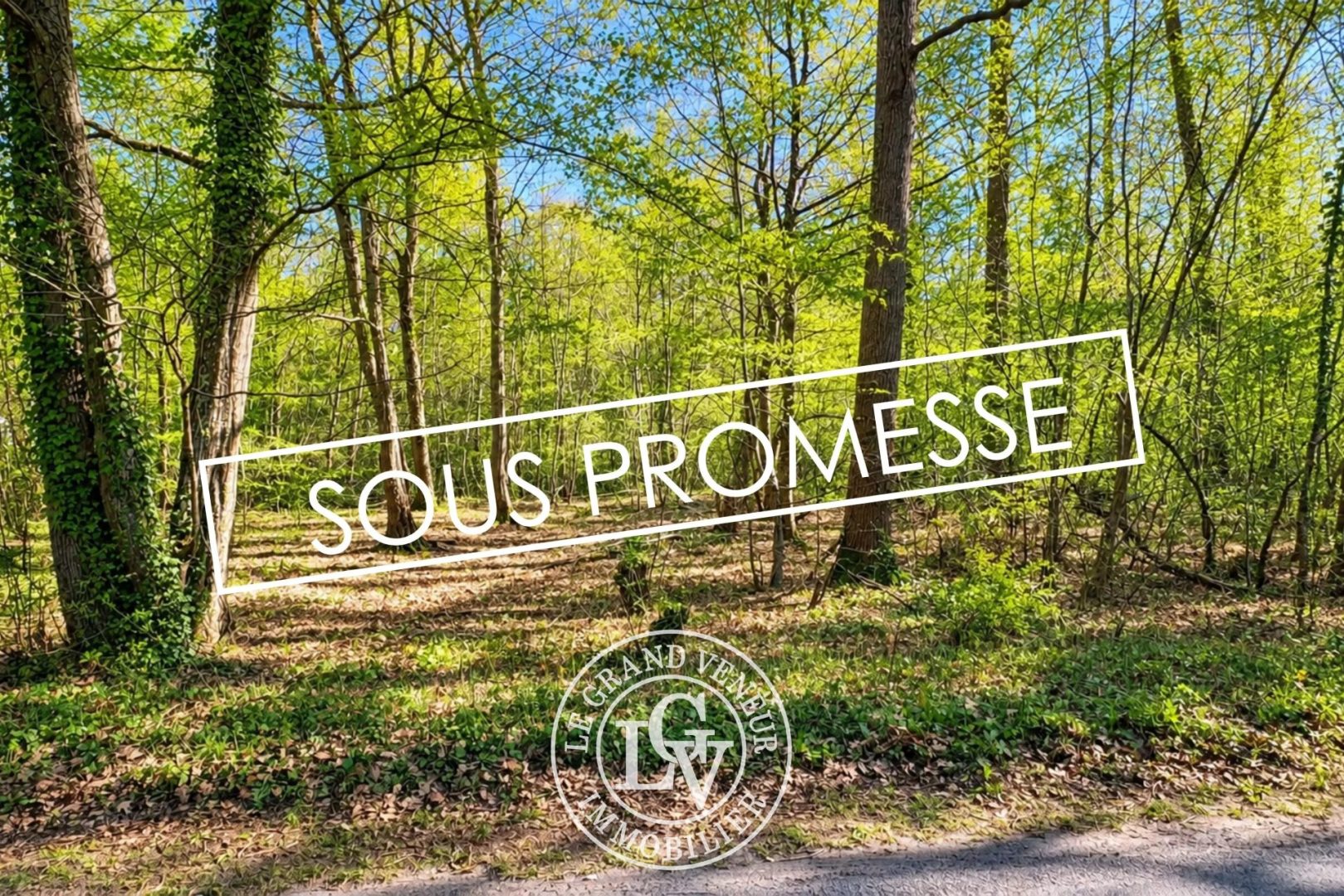 MILLY LA FORÊT- UNIQUE SUR LE SECTEUR -TERRAIN CONSTRUCTIBLE DE 3790M² – PLAT- 37M DE FAÇADE