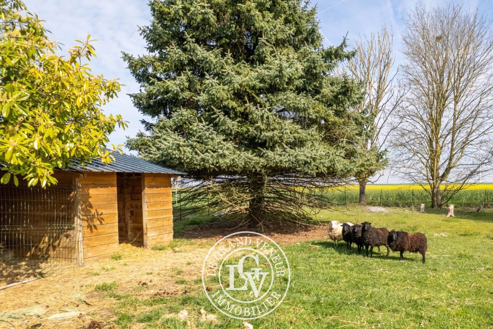 20 MIN DE NEMOURS – À BEAUMONT DU GATINAIS – PROPRIÉTÉ COMPRENANT DEUX LONGÈRES RÉNOVÉES – 8 CHAMBRES-  7 325 M² DE TERRAIN