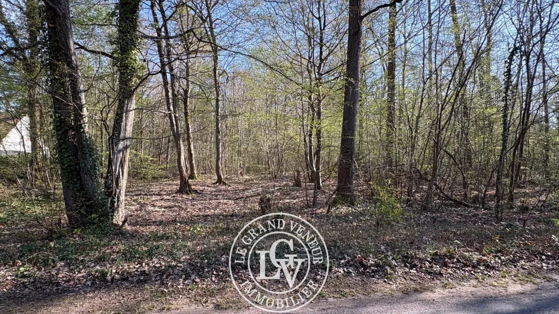 MILLY LA FORÊT- UNIQUE SUR LE SECTEUR -TERRAIN CONSTRUCTIBLE DE 3790M² – PLAT- 37M DE FAÇADE